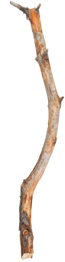 Paddel